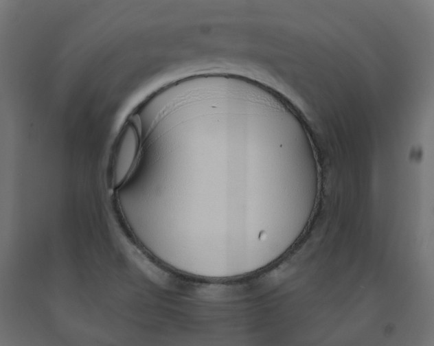 X0000091861510200710031651