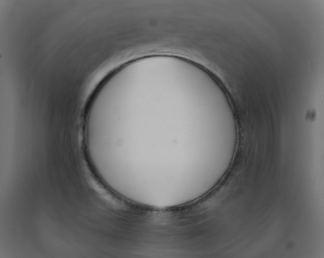 X0000091861511200710031651