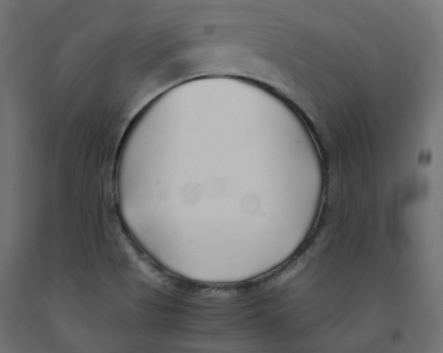 X0000091861513200710031651