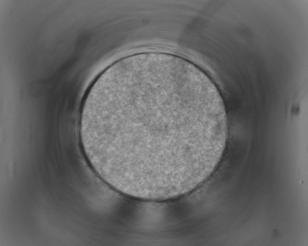 X0000091861514200710031651