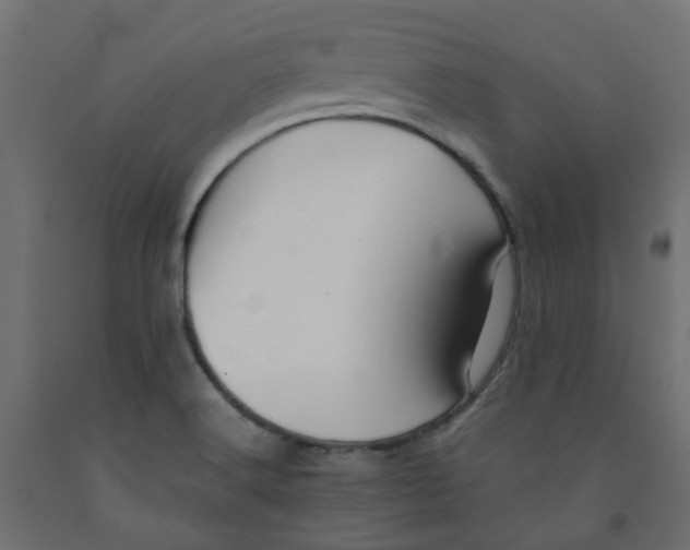 X0000091861516200710031651