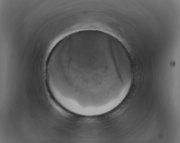 X0000091861519200710031651