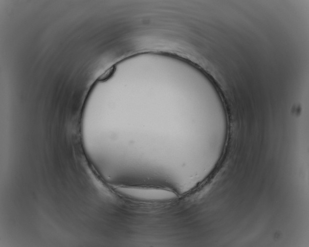 X0000091861521200710031651