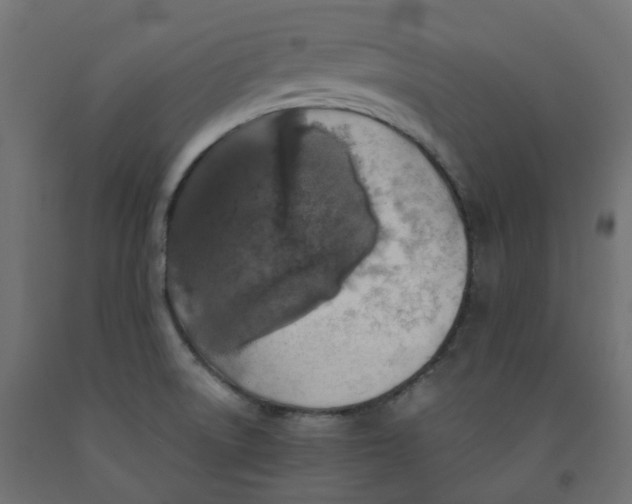 X0000091861522200710031651