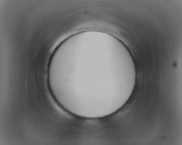 X0000091861523200710031651