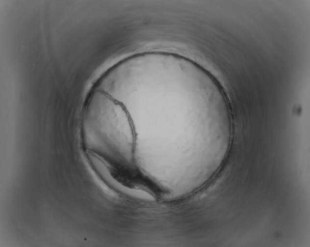 X0000091861525200710031651