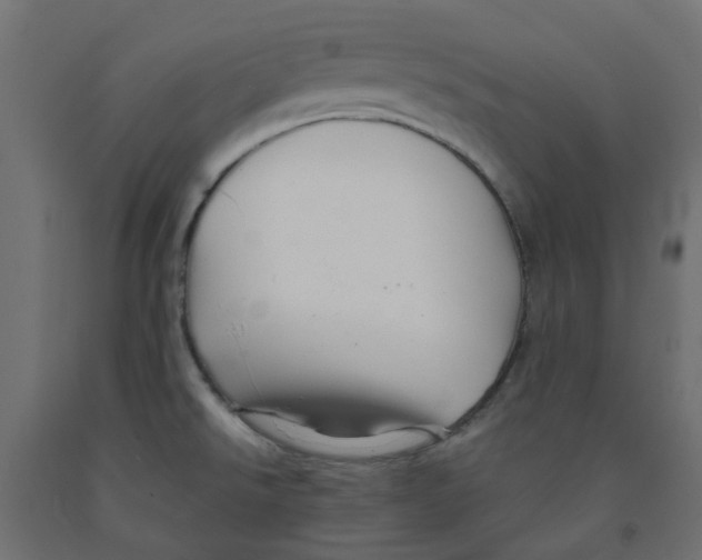 X0000091861526200710031651