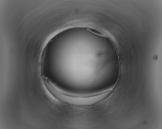 X0000091861528200710031651