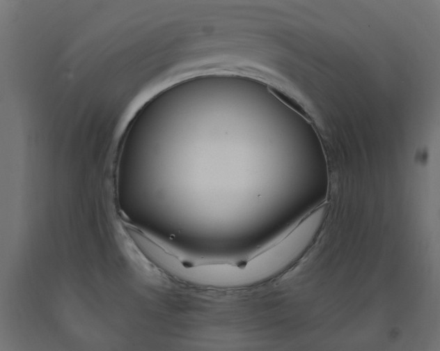 X0000091861530200710031651