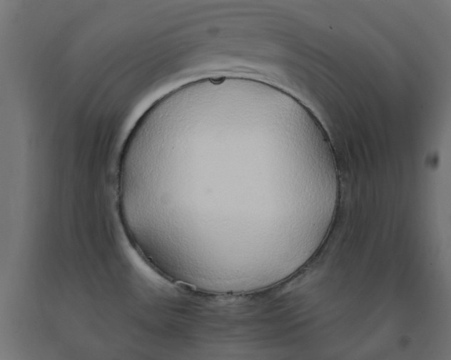 X0000091861531200710031651