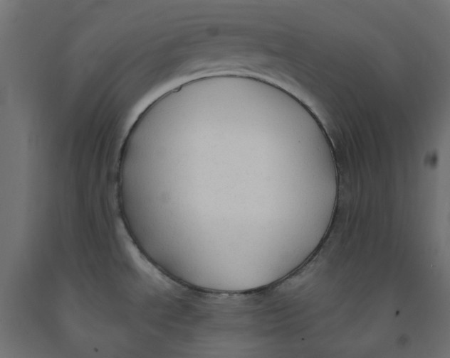 X0000091861534200710031651