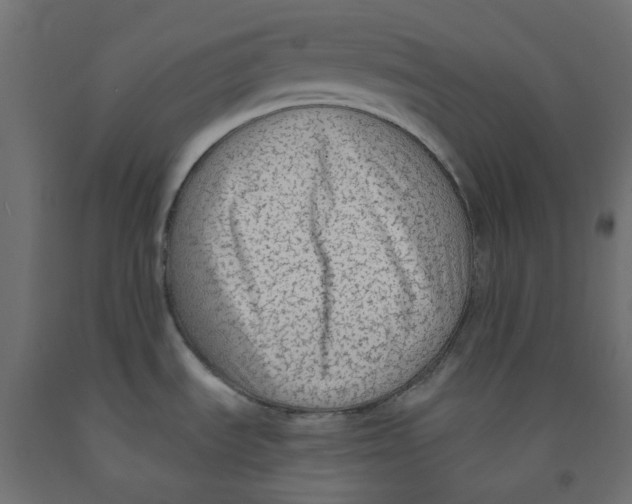 X0000091861535200710031651