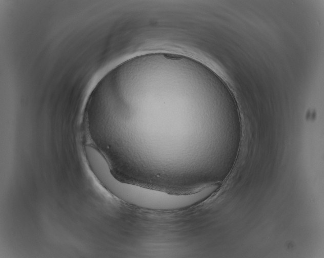 X0000091861536200710031651