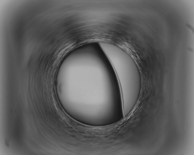 X0000091880001200709051023