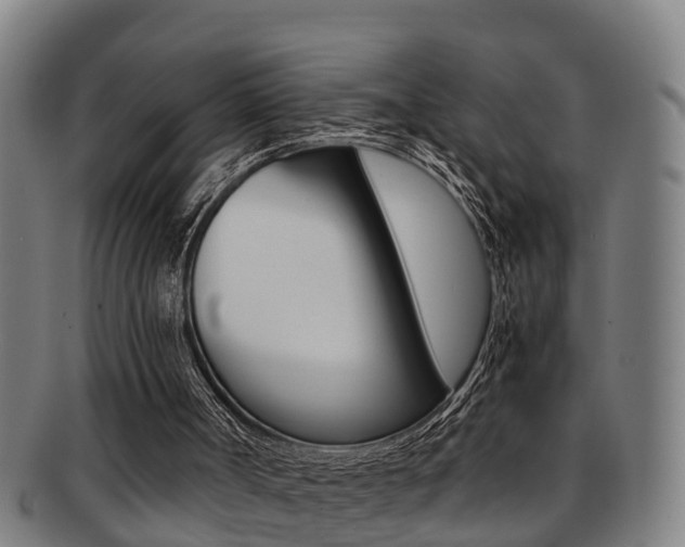 X0000091880002200709051023