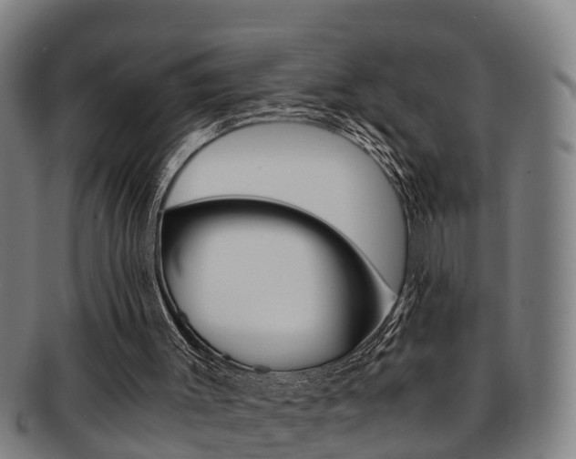 X0000091880003200709051023