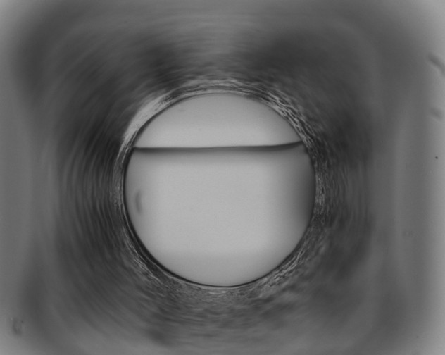 X0000091880004200709051023