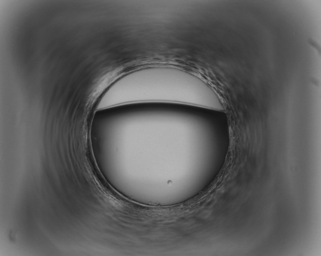 X0000091880005200709051023