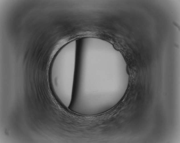 X0000091880006200709051023