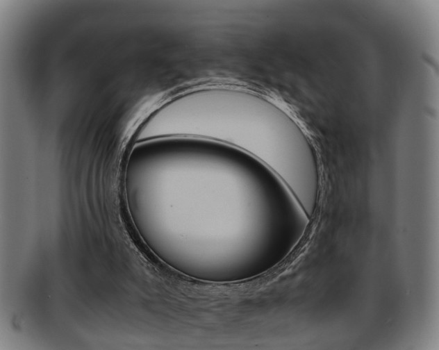 X0000091880007200709051023