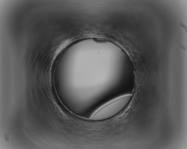 X0000091880008200709051023