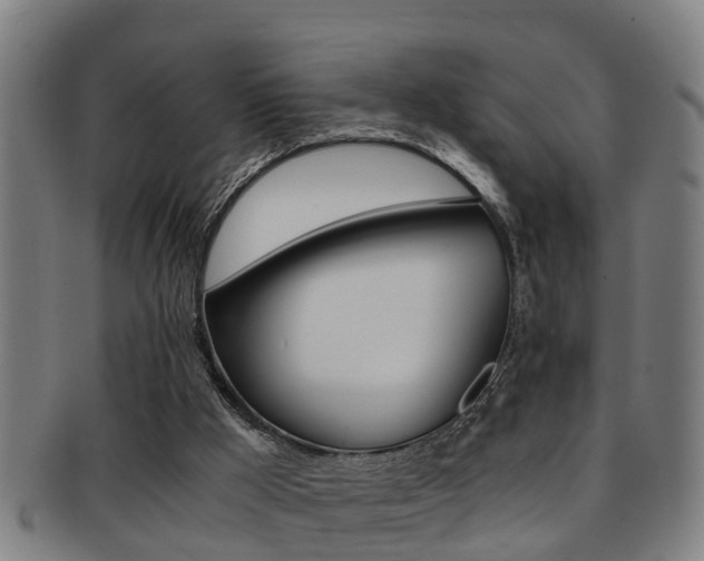 X0000091880009200709051023
