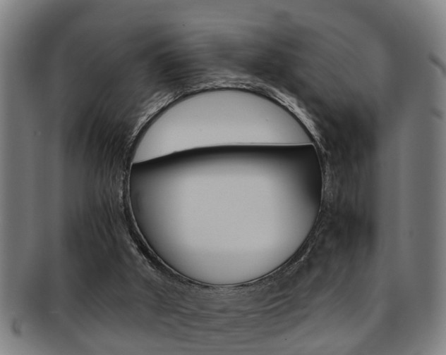 X0000091880010200709051023