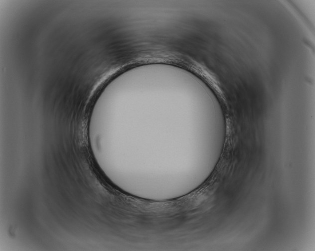 X0000091880012200709051023