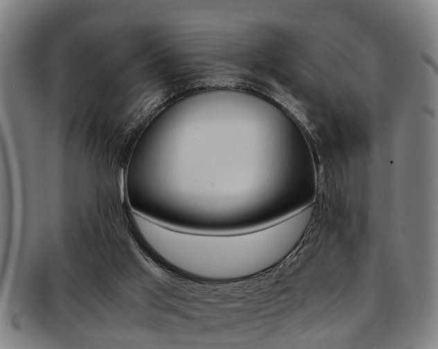 X0000091880013200709051023