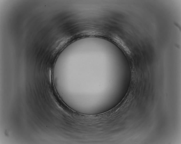 X0000091880014200709051023