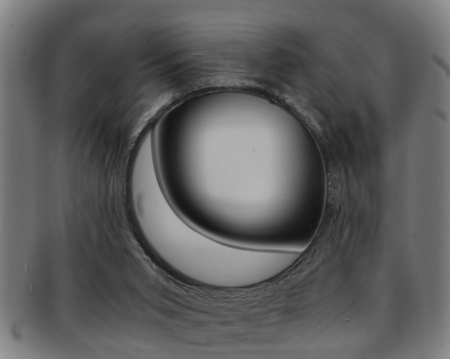 X0000091880015200709051023