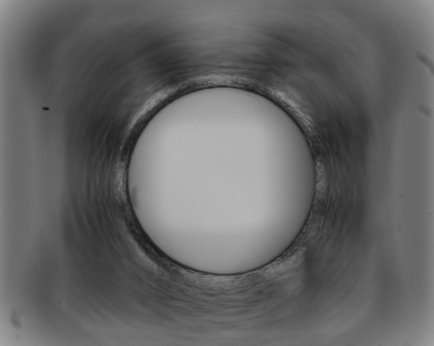 X0000091880016200709051023
