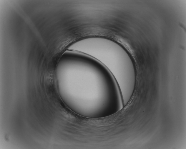 X0000091880017200709051023