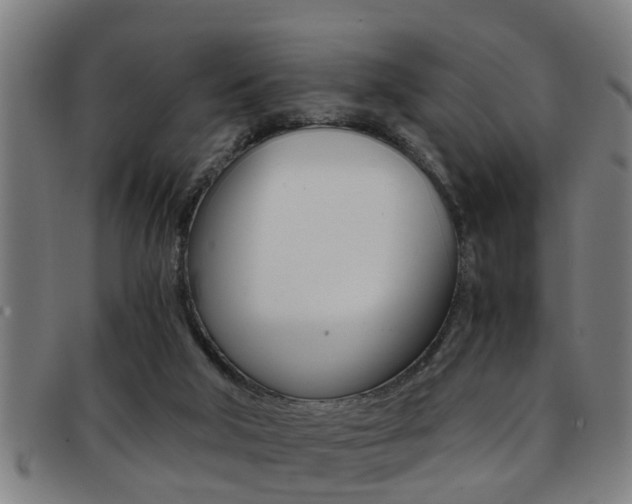 X0000091880018200709051023
