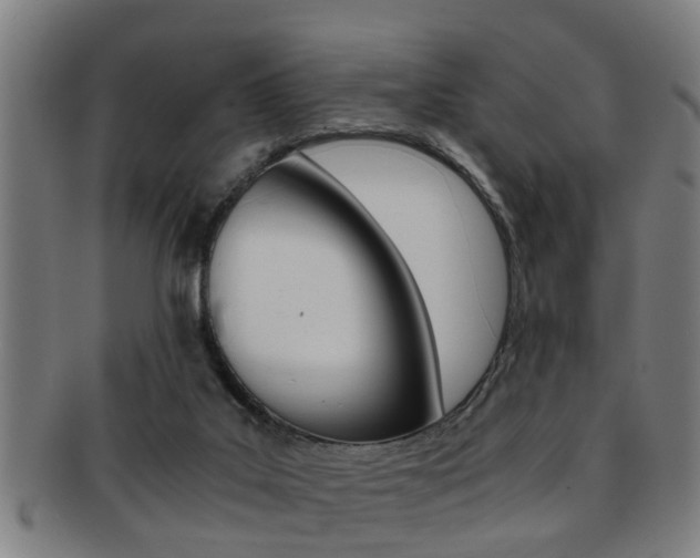 X0000091880019200709051023