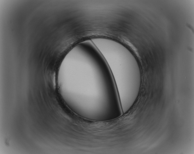 X0000091880020200709051023