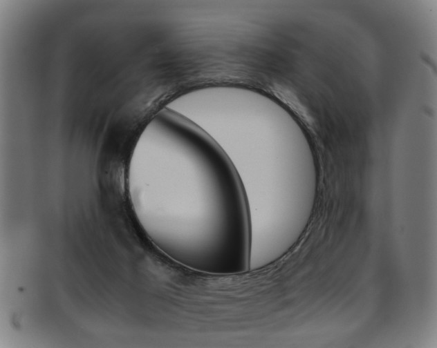 X0000091880021200709051023