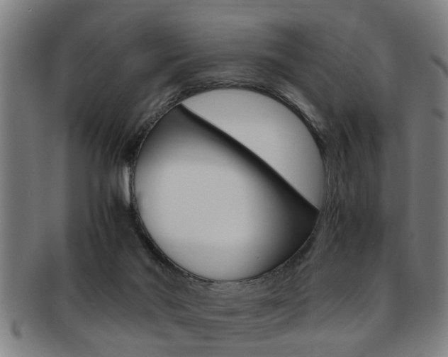 X0000091880022200709051023