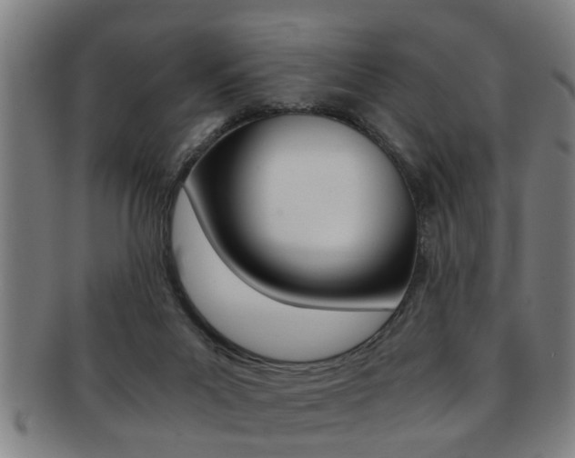 X0000091880023200709051023