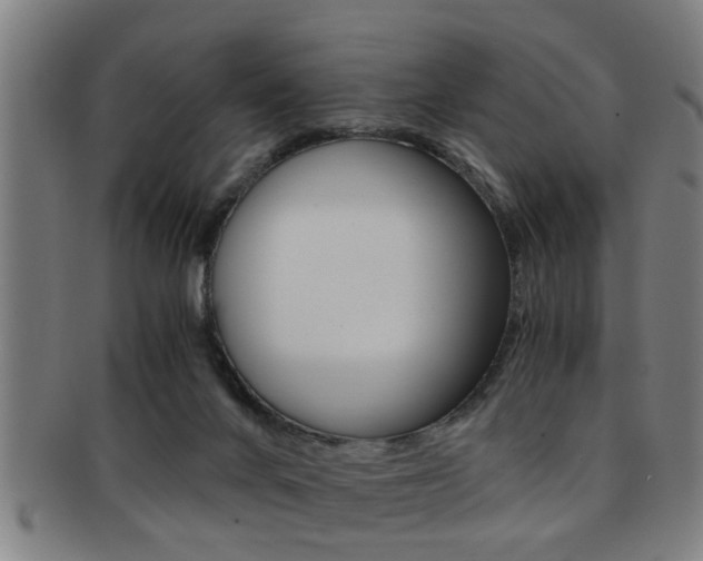 X0000091880024200709051023