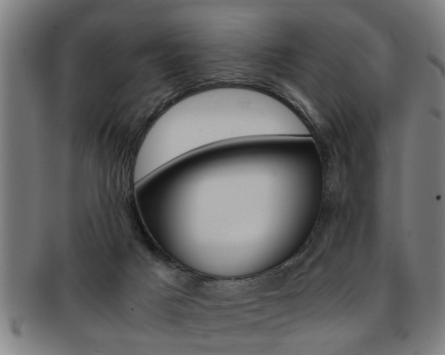 X0000091880025200709051023