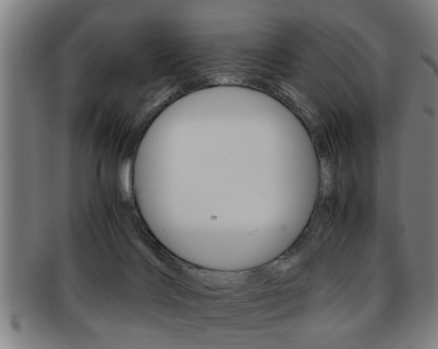 X0000091880028200709051023