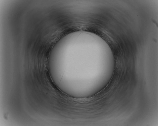 X0000091880030200709051023