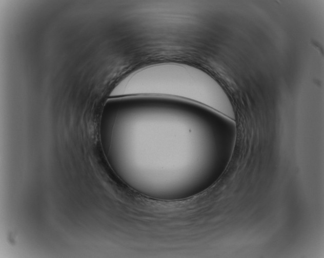 X0000091880031200709051023