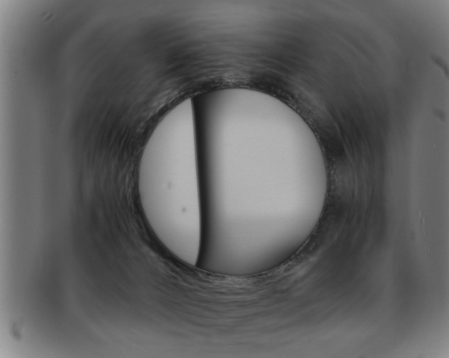 X0000091880032200709051023