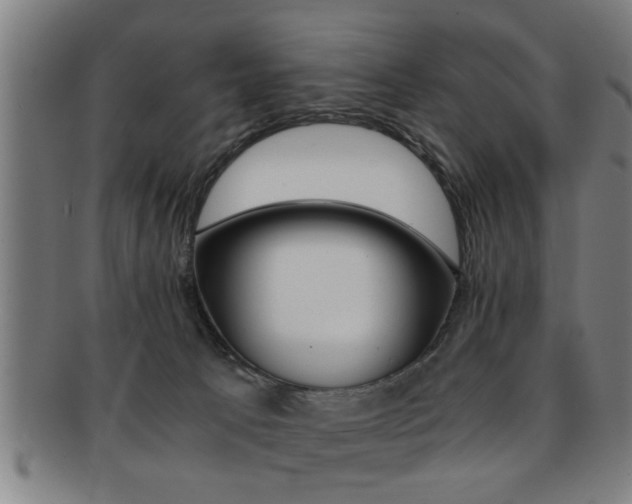 X0000091880033200709051023