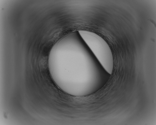 X0000091880034200709051023