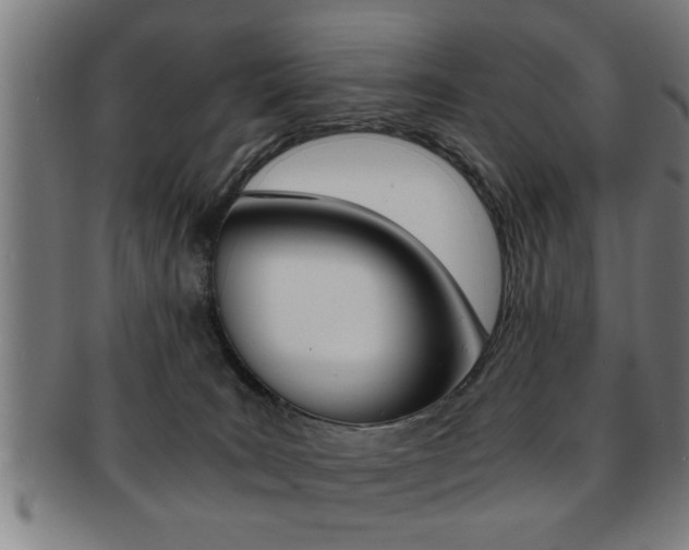 X0000091880035200709051023