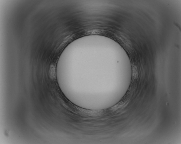 X0000091880036200709051023