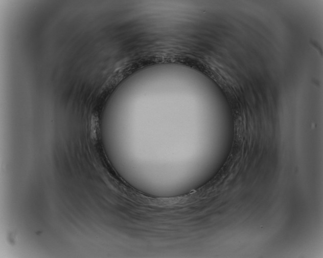 X0000091880038200709051023